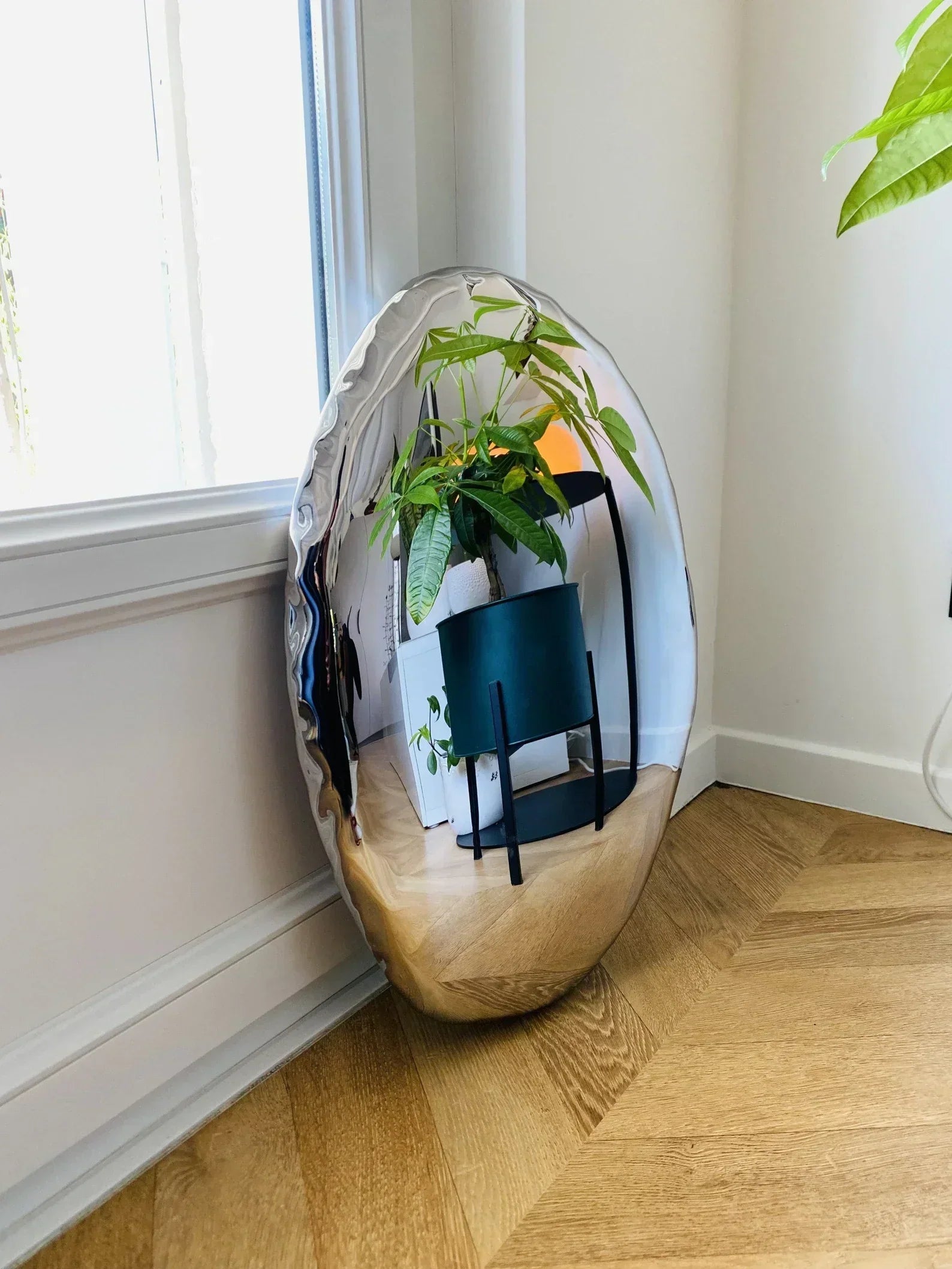 Squishy Concave Mirror