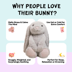 The Calm Companions Collection